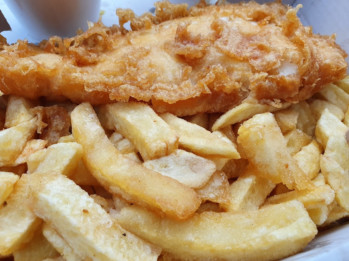 Seahorse Fish And Chips-7